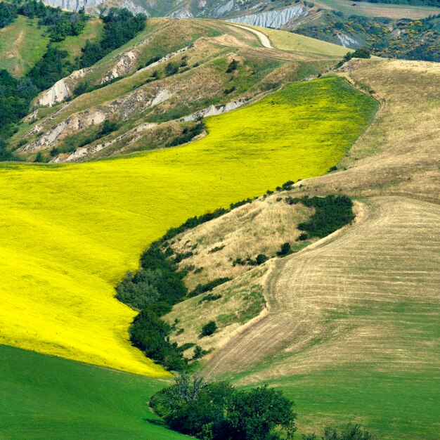 Scenic view of landscape