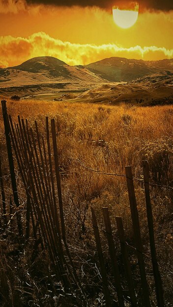 Photo scenic view of landscape