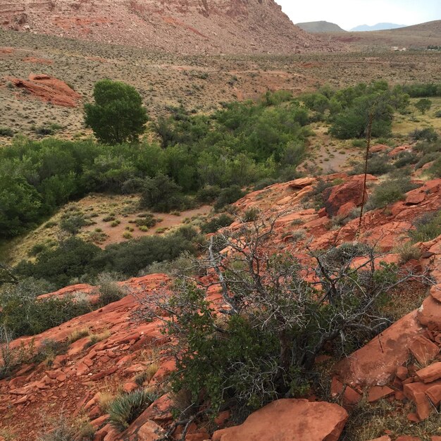 Scenic view of landscape