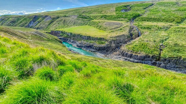 Scenic view of landscape