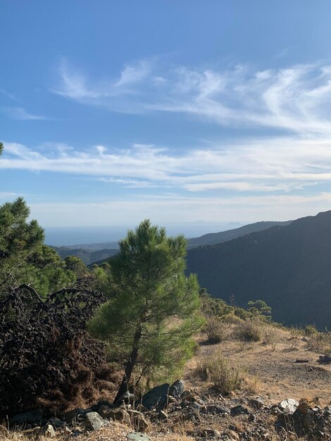 Foto vista panoramica del paesaggio mediterraneo nel sud della spagna contro il cielo