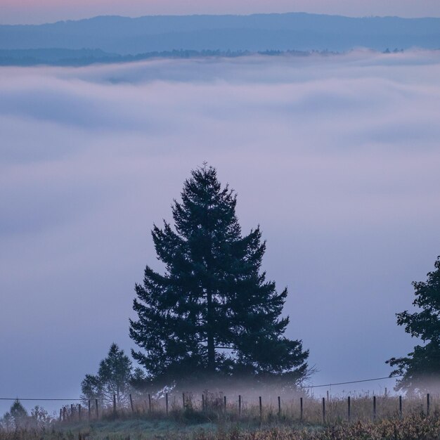 Scenic view of mist against sky