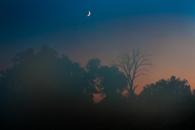 Photo scenic view of moon in sky at night