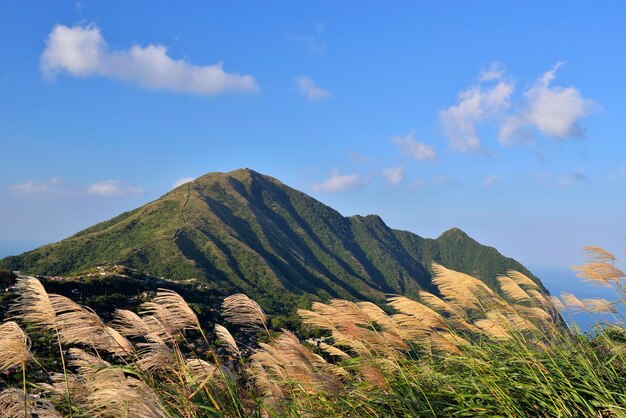 空に照らされた山の景色