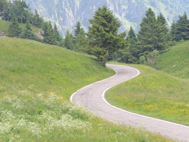 Scenic view of mountain road