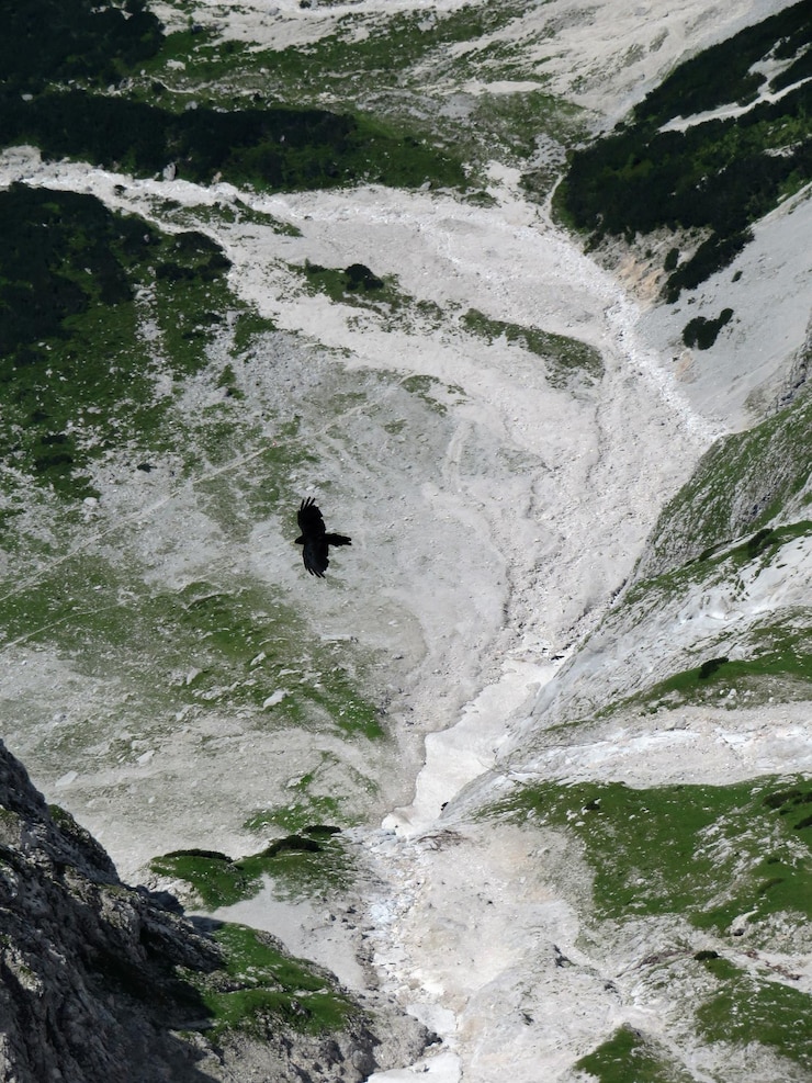 Photo scenic view of a mountain valley