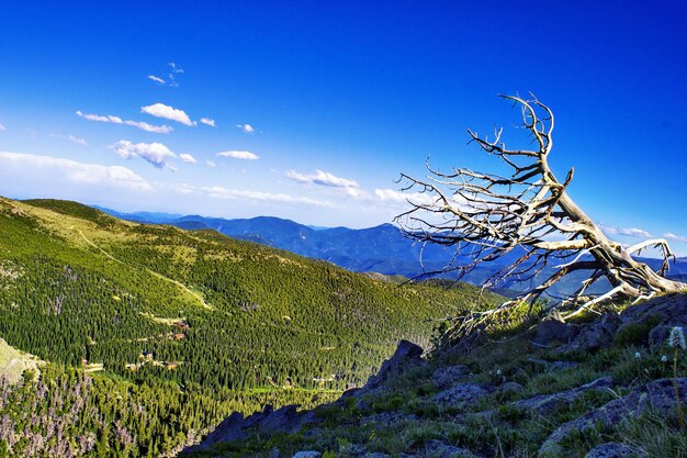 Scenic view of mountains against blue sky