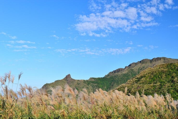 Photo 青い空に照らされた山の景色