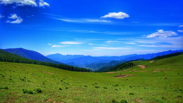青い空の背景にある山の景色