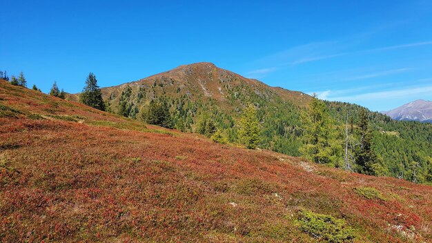 Foto la vista panoramica delle montagne contro il cielo blu