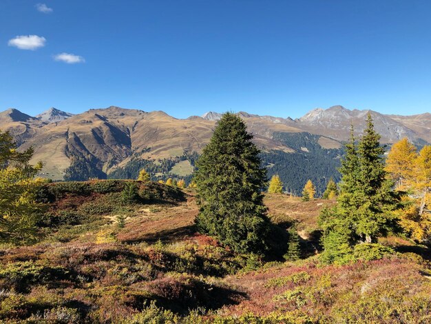 Scenic view of mountains against clear blue sky