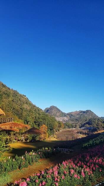 Scenic view of mountains against clear blue sky