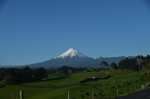 Scenic view of mountains against clear blue sky