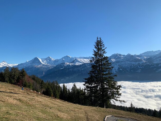 Scenic view of mountains against clear blue sky