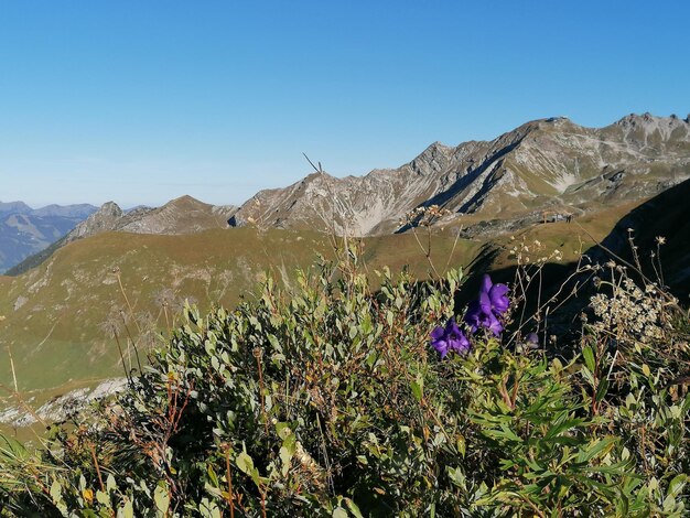 Foto la vista panoramica delle montagne contro un cielo azzurro limpido