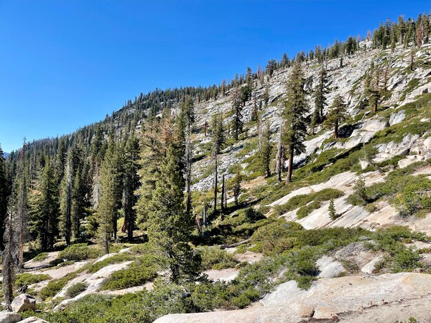 Scenic view of mountains against clear blue sky