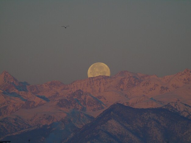 Foto la vista panoramica delle montagne contro un cielo limpido di notte