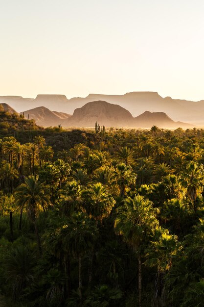 Scenic view of mountains against clear sky during sunset