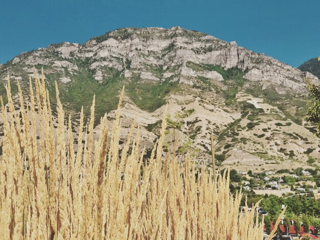 Scenic view of mountains against clear sky