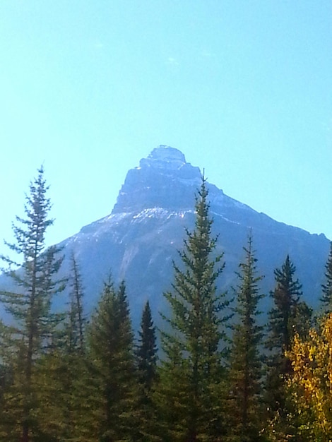 Scenic view of mountains against clear sky