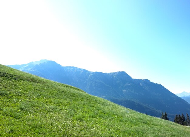 晴れた空に囲まれた山の景色