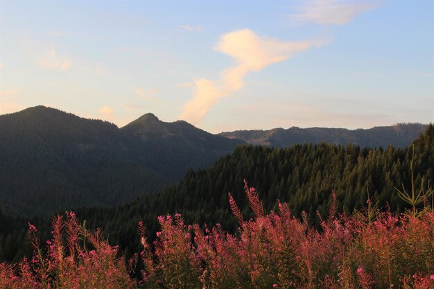 Foto la vista panoramica delle montagne contro il cielo durante il tramonto