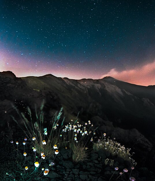 Foto la vista panoramica delle montagne contro il cielo notturno