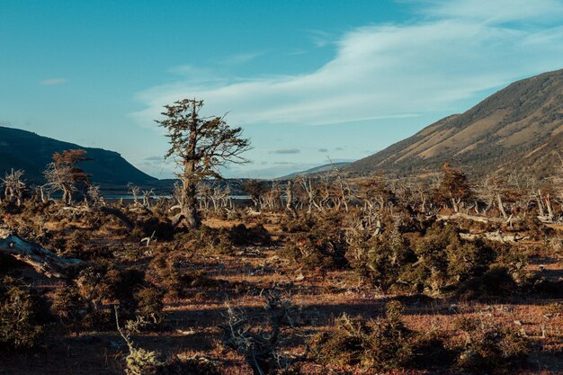 Foto la vista panoramica delle montagne contro il cielo