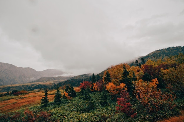 Photo scenic view of mountains against sky