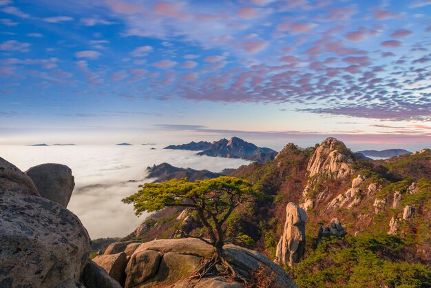 Foto la vista panoramica delle montagne contro il cielo