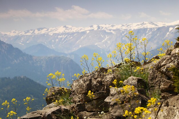 空の背景にある山の景色