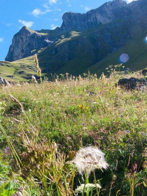 Foto la vista panoramica delle montagne contro il cielo