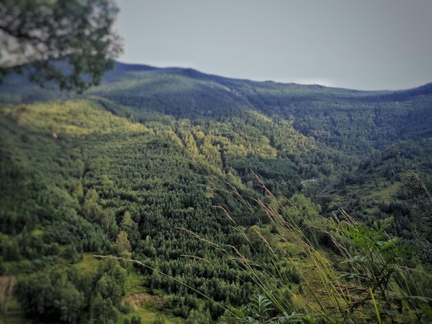 Foto la vista panoramica delle montagne contro il cielo