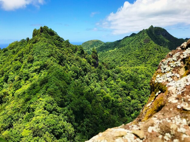 空の背景にある山の景色