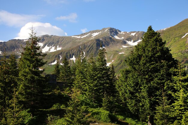 Foto la vista panoramica delle montagne contro il cielo