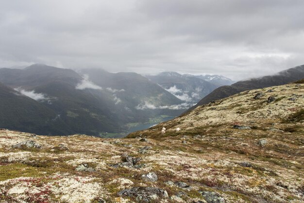 Photo scenic view of mountains against sky