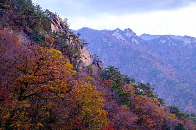 天空に照らされた山の景色