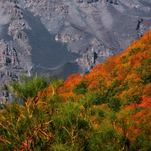 Scenic view of mountains during autumn