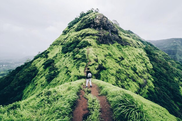 Photo scenic view of mountains