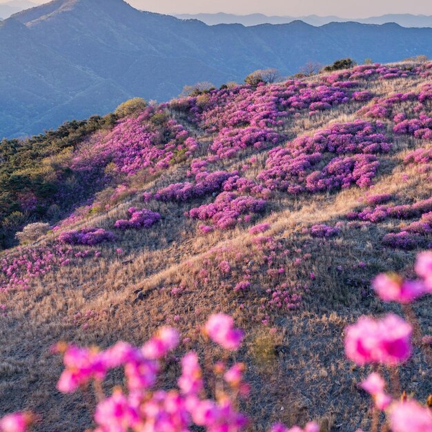 Scenic view of mountains