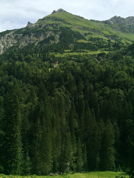 Foto la vista panoramica delle montagne