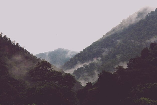 Photo scenic view of mountains