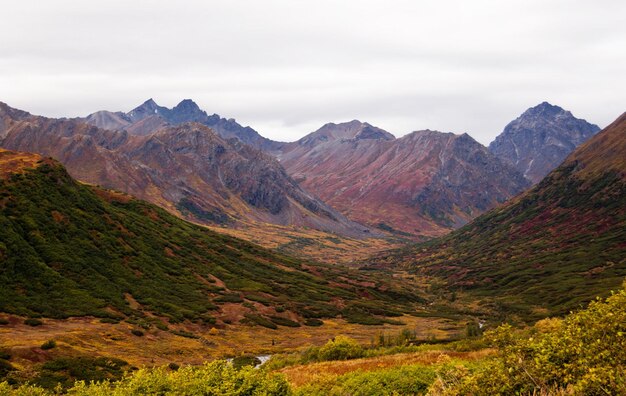 Photo scenic view of mountains