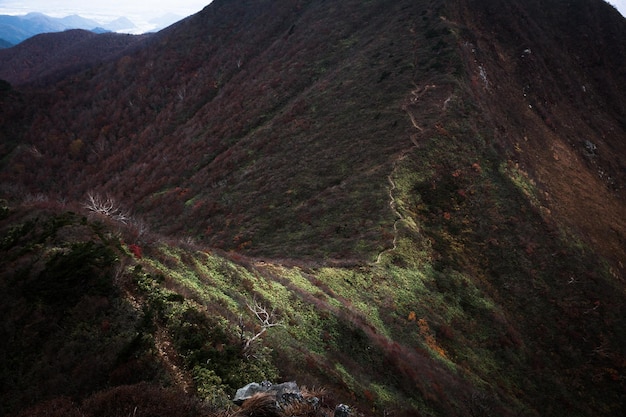 Scenic view of mountains