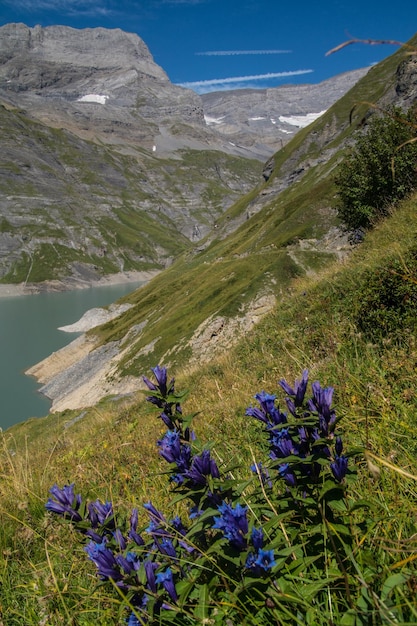 Photo scenic view of mountains