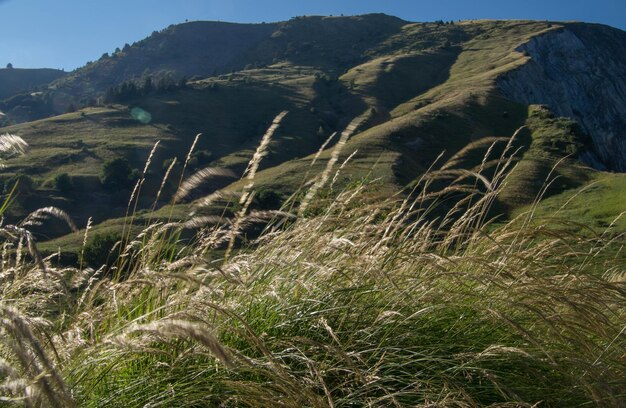 Photo scenic view of mountains