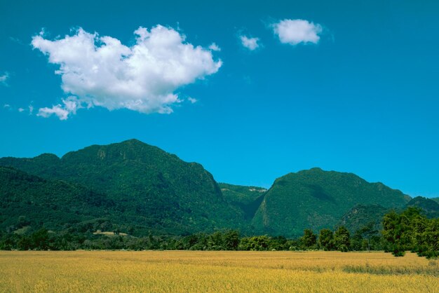 사진 푸른 하늘 을 배경 으로 한 농장 의 풍경