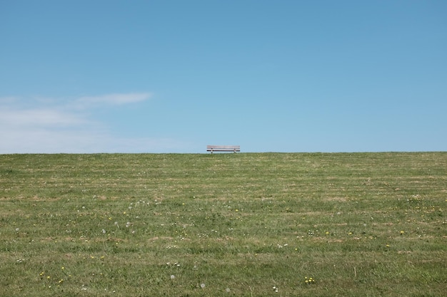 写真 晴れた空の背景にある農地の景色