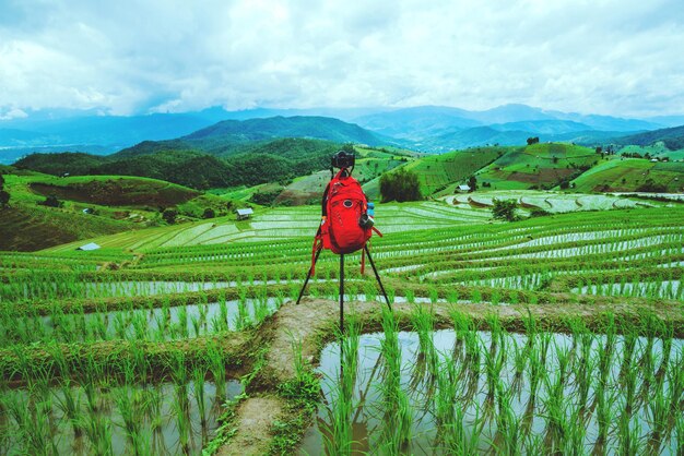 写真 空に照らされた農地の景色