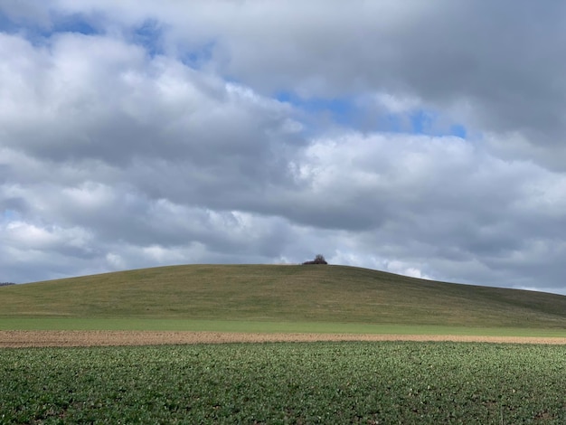 写真 空の背景にある農地の景色